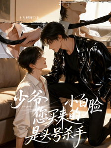 少爷！您买来的小白脸是头号杀手 cover