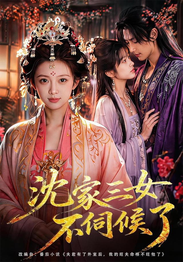 沈家三女不伺候了 cover