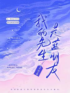 我的先生是蓝朋友 cover