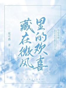 藏在微风里的欢喜 cover
