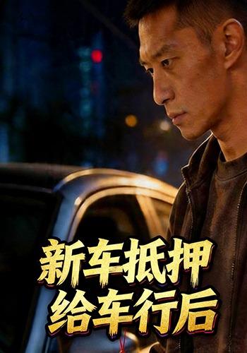 新车抵押给车行后