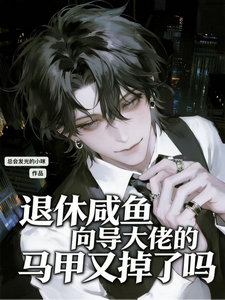 退休咸鱼向导大佬的马甲又掉了吗 cover
