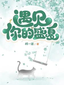 遇见你的盛夏 cover
