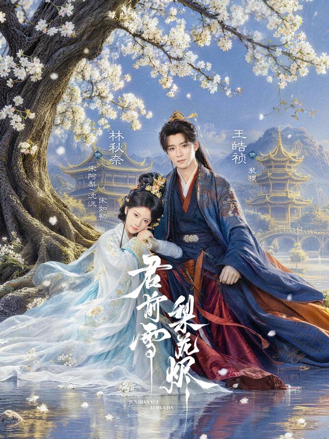 君前雪，梨花烬 海报