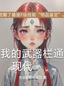 我的武器栏通现代 cover