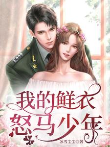 我的鲜衣怒马少年 cover