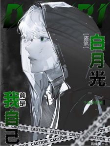 盗笔：白月光竟是我自己 cover