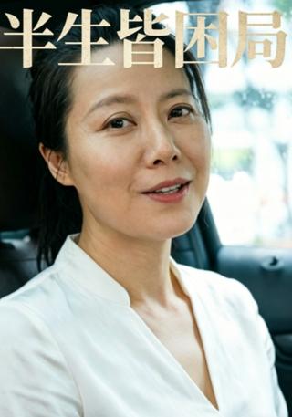 半生皆困局封面图