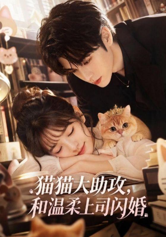 猫猫大助攻，和温柔上司闪婚 cover