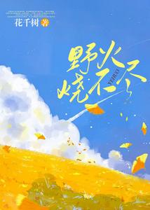 野火烧不尽 cover