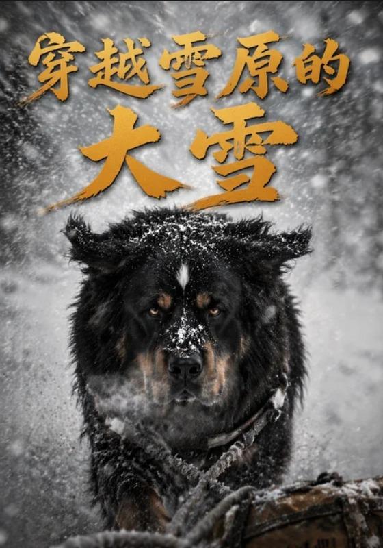 穿越雪原的大雪 cover