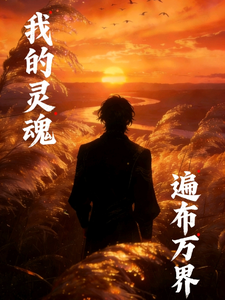 我的灵魂遍布万界 cover
