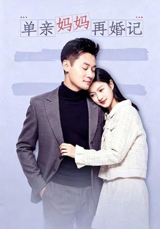 单亲妈妈再婚记封面图