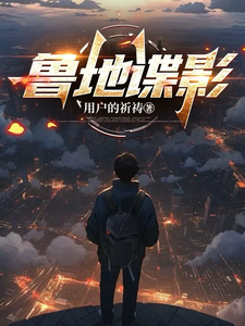 鲁地谍影 cover