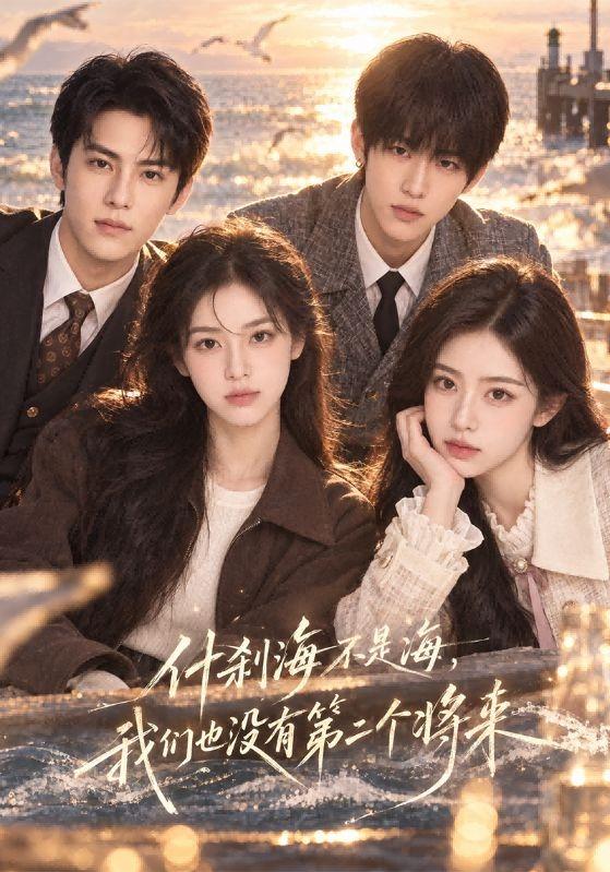 《什刹海不是海，我们也没有第二个将来》作品海报