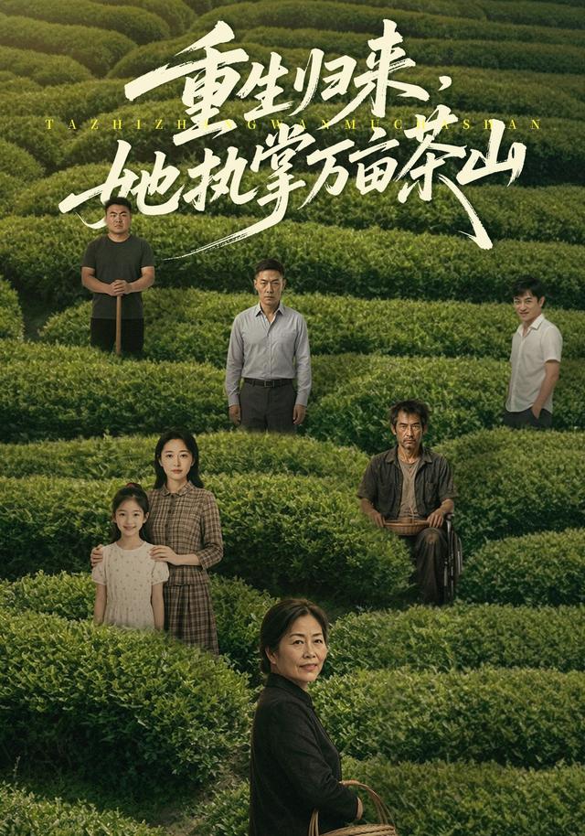 重生归来，她执掌万亩茶山 cover