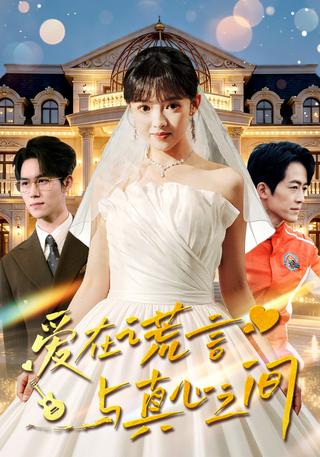 爱在谎言与真心之间封面图