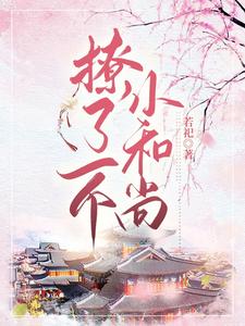 撩了一个小和尚 cover