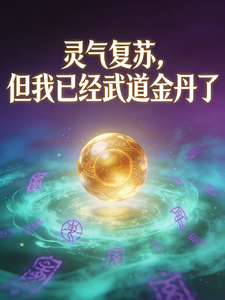 Lingqi Fusu? Dan Wo Yijing Wudao Jindan Le cover