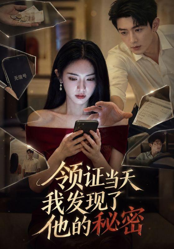 领证当天我发现了他的秘密 cover