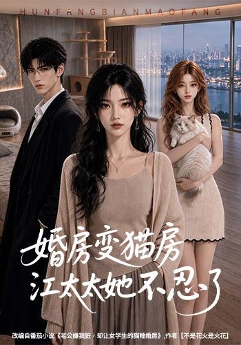 婚房变猫房江太太她不忍了 cover