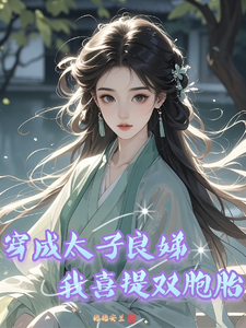 穿成太子良娣，我喜提双胞胎 cover