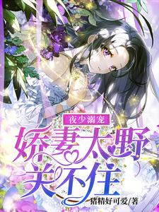 夜少溺宠：娇妻太野关不住 cover