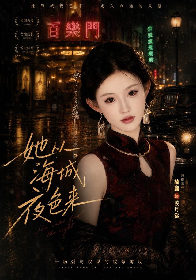 她从海城夜色来