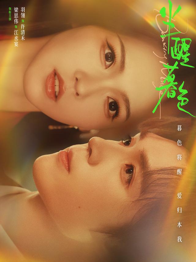 短剧《半醒暮色》海报