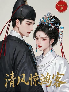 清风惊鸿客 cover