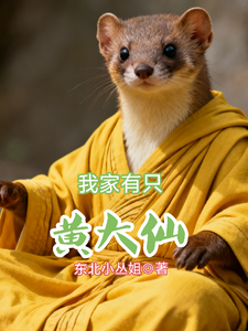我家有只黄大仙 cover