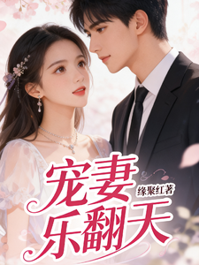 宠妻乐翻天 cover