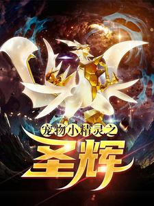 宠物小精灵之圣辉 cover