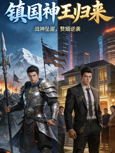 镇国神王归来 cover