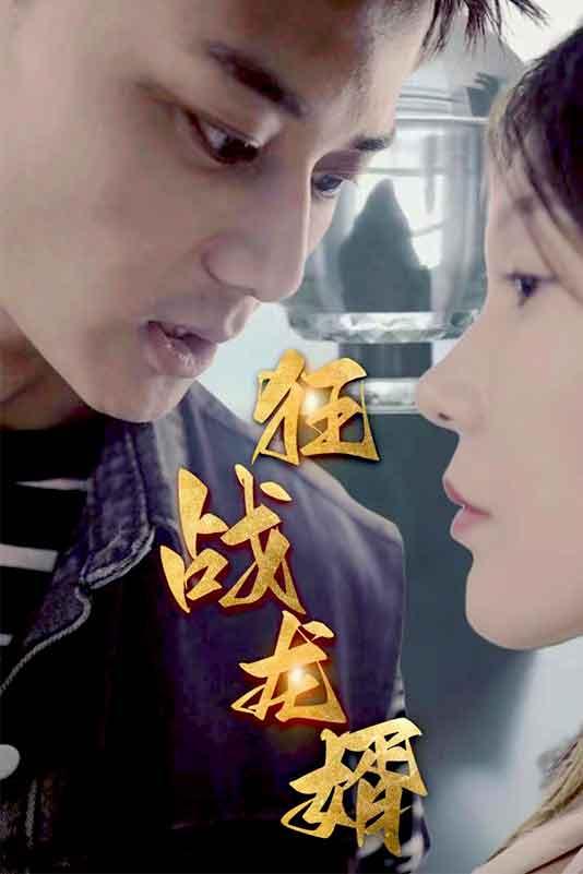 狂战龙婿封面