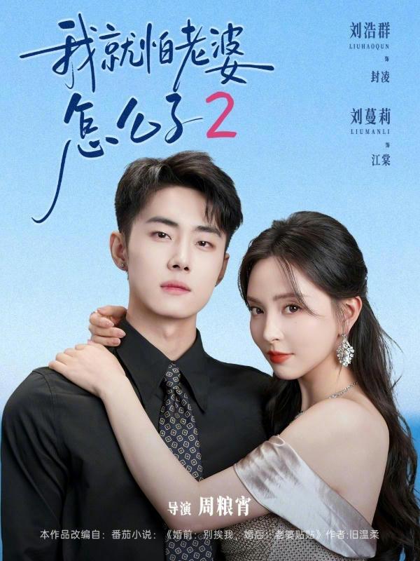 短剧我就怕老婆怎么了2海报