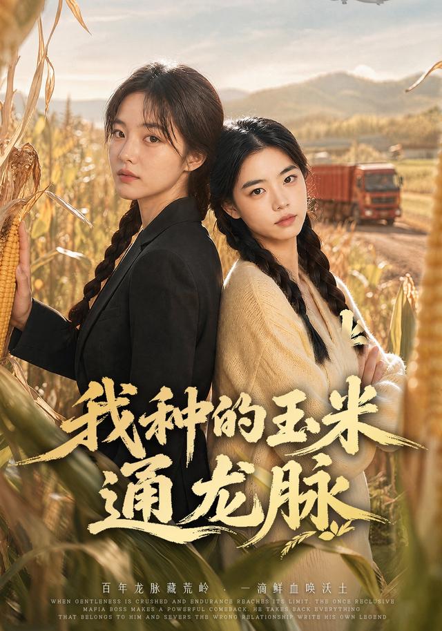 我种的玉米通龙脉 cover