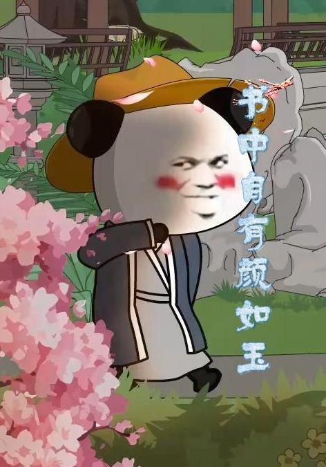 书中自有颜如玉 cover