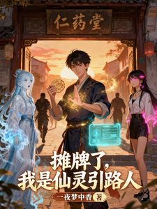 摊牌了,我是仙灵引路人 cover