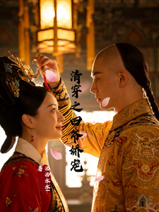 清穿之四爷娇宠 cover
