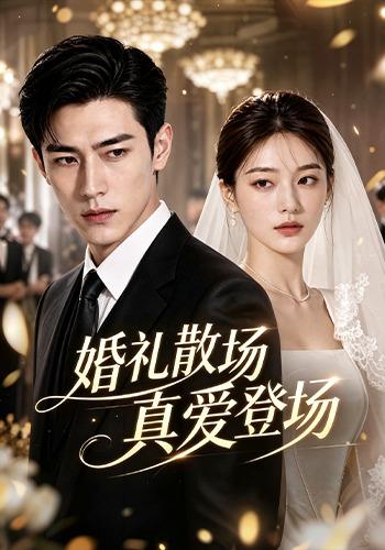 婚礼散场真爱登场 cover