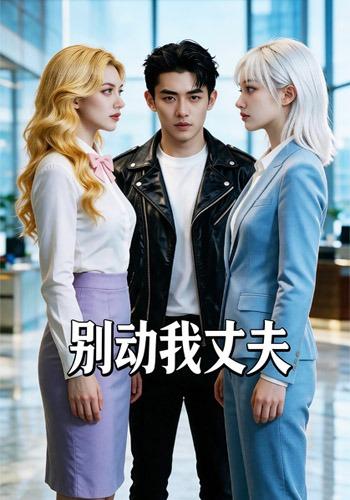 别动我丈夫 cover