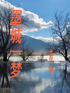 墨城一梦 cover