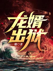 龙婿出狱 cover