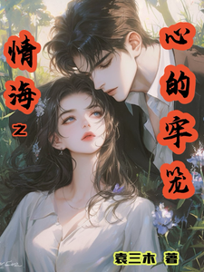 情海之心的牢笼 cover