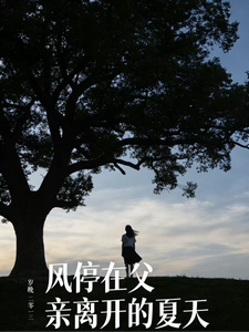 风停在父亲离开的夏天 cover