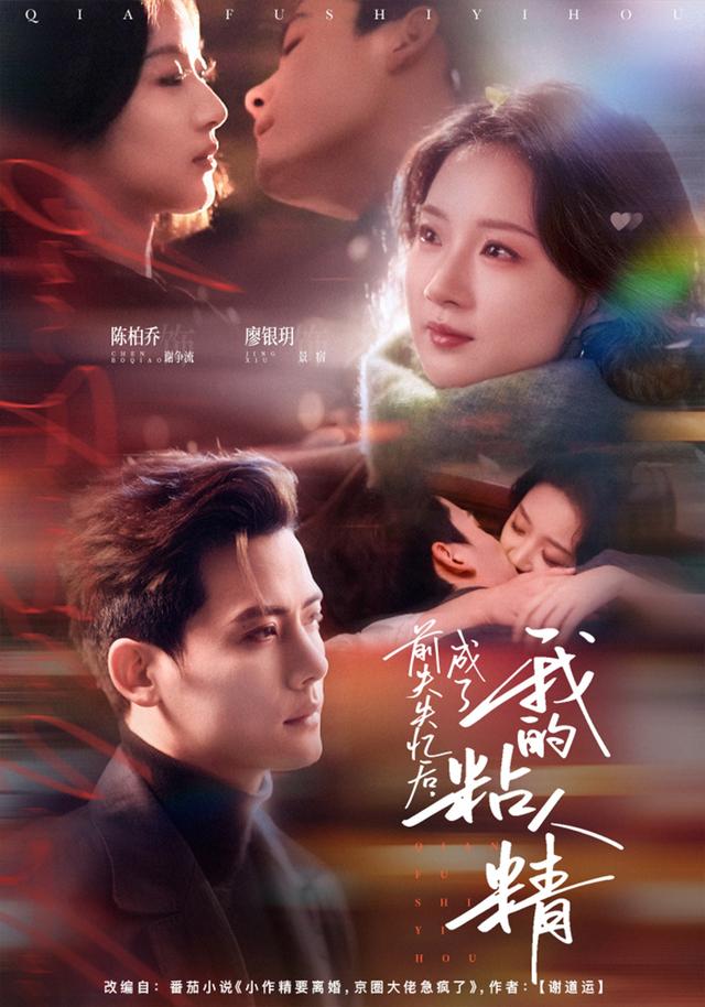 前夫失忆后，成了我的粘人精