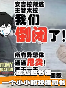 废墟图书馆一个小小的欢愉司书 cover