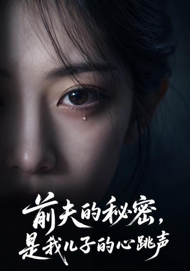 前夫的秘密，是我儿子的心跳声 cover