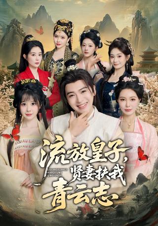 流放皇子贤妻扶我青云志封面图
